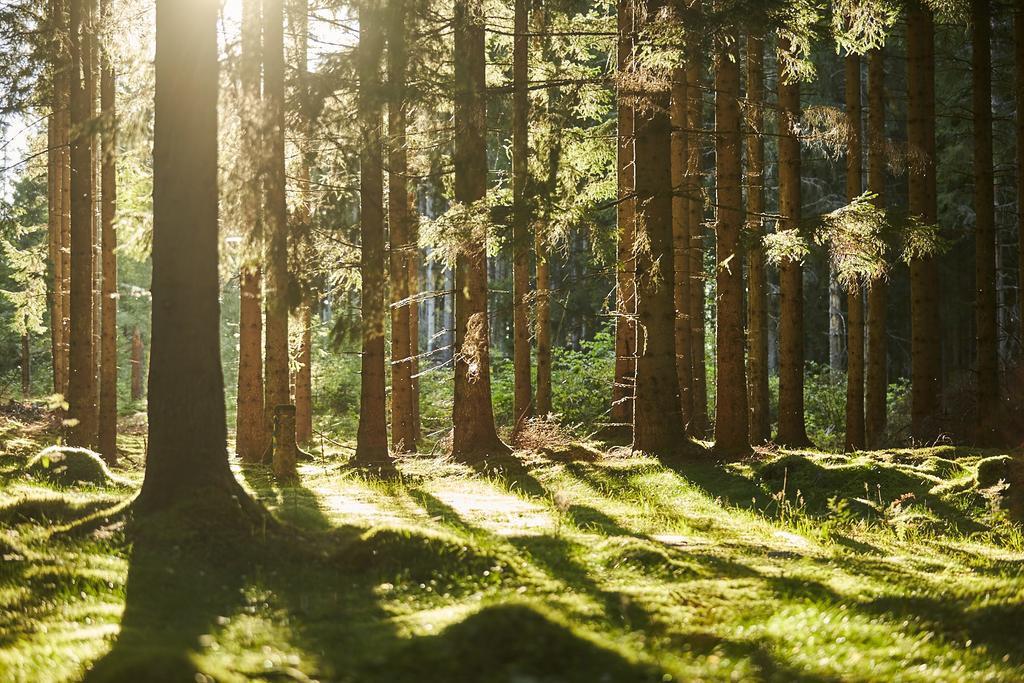 Isaberg Mountain Resort Hestra Экстерьер фото